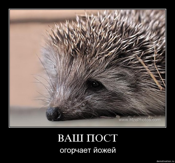 dc1b9f47a4c6f5651d0c5d91c689d67df33c4485_1.jpg