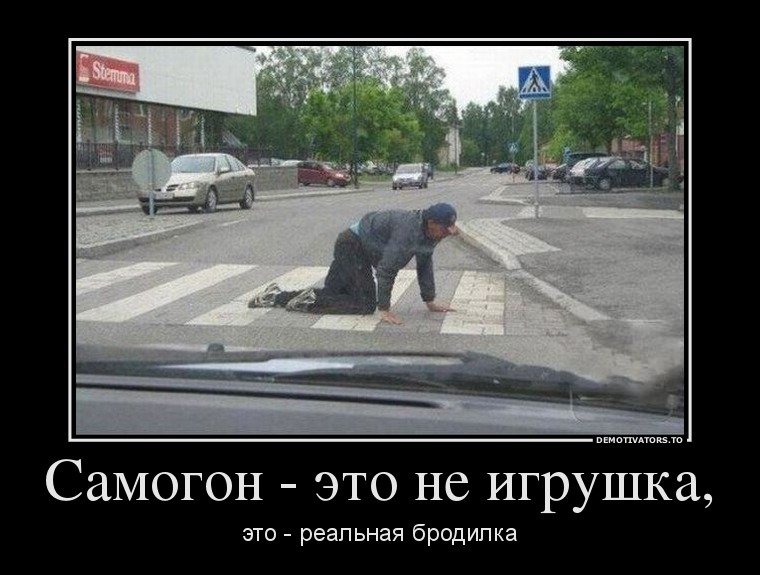 1373610554_demki-12.jpg
