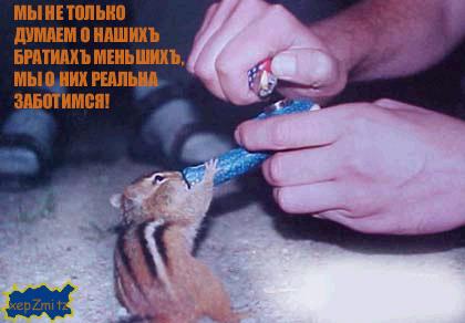 хом нак.jpg